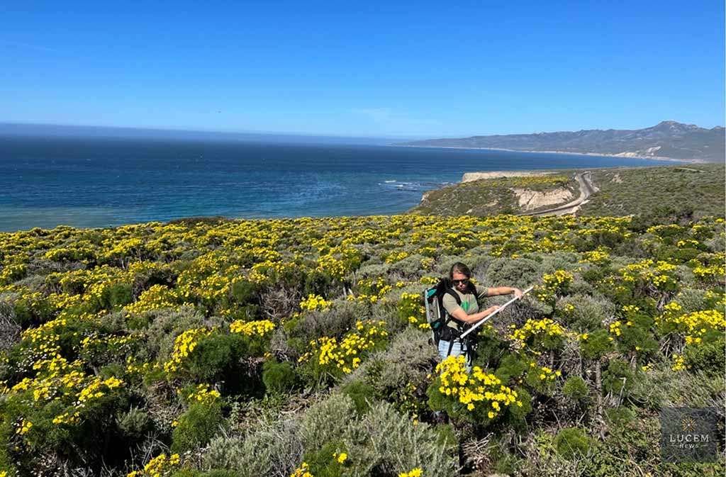 NASA Studies Wildflowers Via Aircraft and Space Instruments
