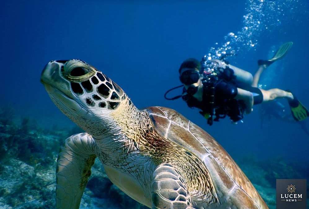 Sanctuaries: Balancing Ecology with Economic Growth