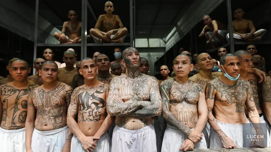 MS-13 Member Gets 12 Years for Kidnapping, Retaliation