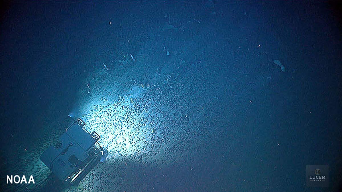 Remotely operated vehicle Deep Discoverer traverses over an extensive field of ferromanganese nodules that formed the bulk of the hard seafloor substrate for much of Dive 17 of the 2021 North Atlantic Stepping Stones expedition. (Image credit: NOAA)